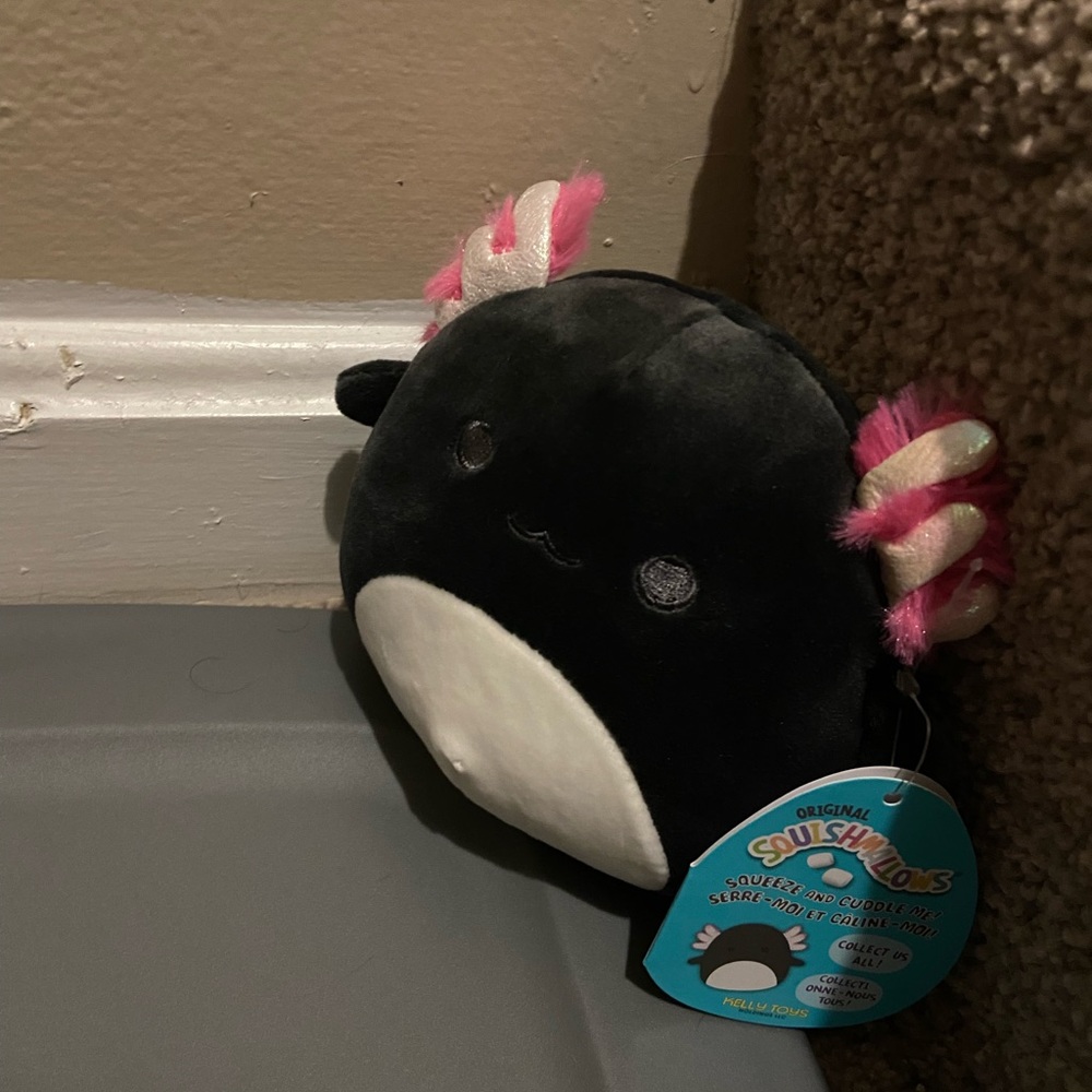 Jaelyn the axolotl squishmallow 5”
